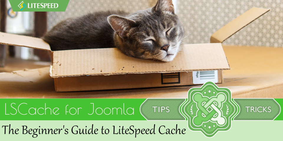 Beginner’s Guide to LiteSpeed Cache for Joomla