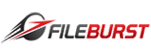 Fileburst