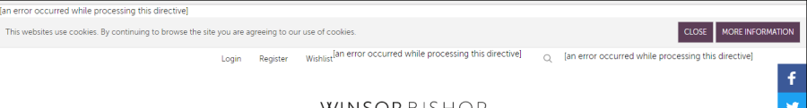 an-error-occurred-while-processing-this-directive.png